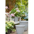 thumbnail image 3 of Mainstays Basic Bell Planter 16 inch Grey, Classic Design with Attached Tray Durable Weather Resistant Matte Finish, 3 of 4
