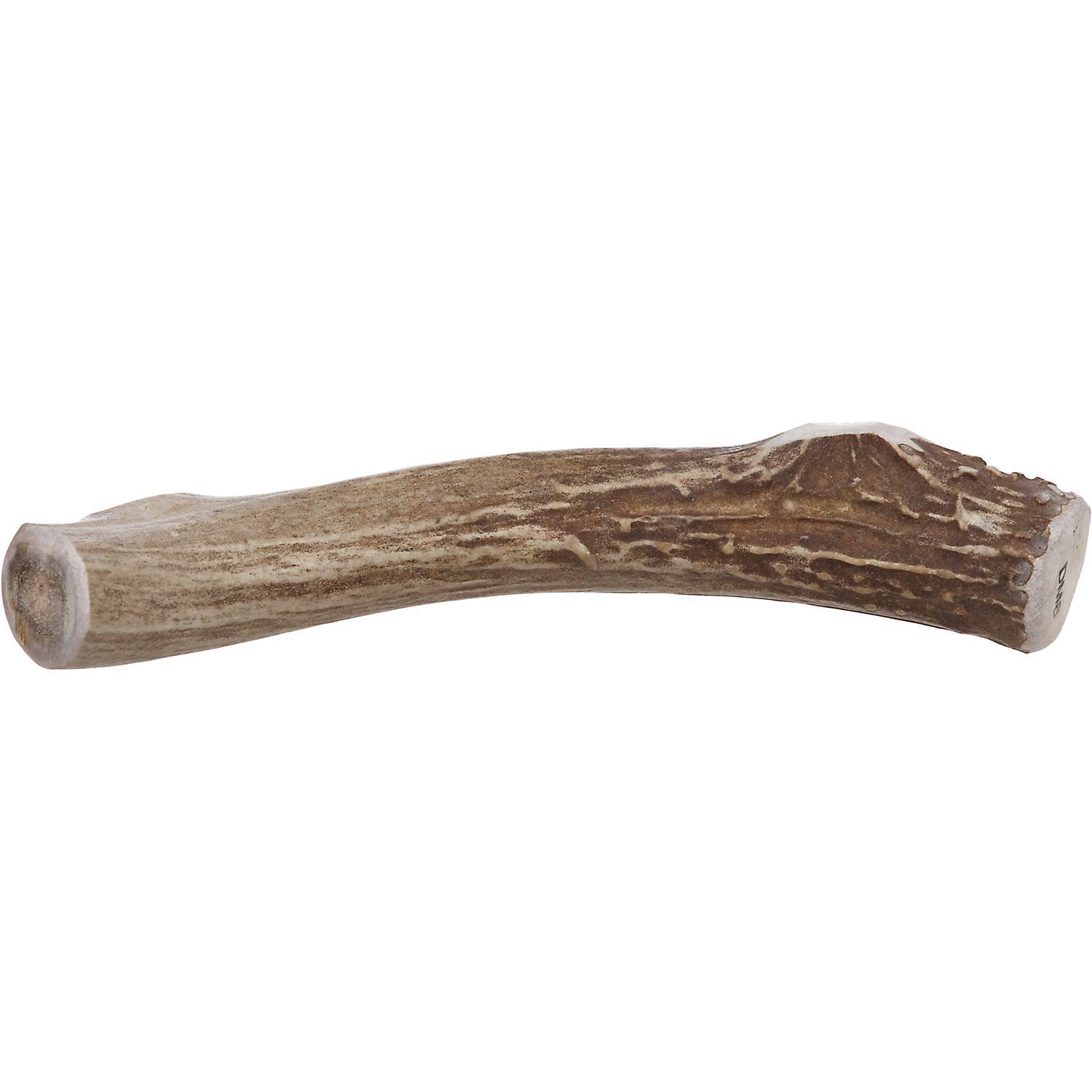 Prairie Dog | Deer Antler Chew | Naturally Shed - Hand Harvested in North America | X-Large | 8-9"