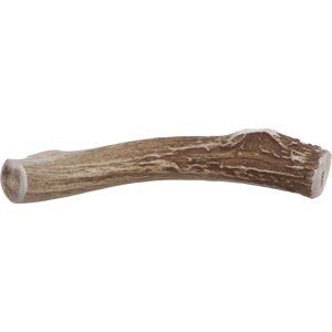 Prairie Dog | Deer Antler Mâcher naturellement - Récolté à la main en Amérique du Nord