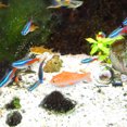thumbnail image 3 of Adorable Floating Fish Ornament for Aquarium Fish Tank, 3 of 8