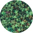 thumbnail image 1 of Ahgly Company Machine Washable Indoor Round Transitional Dark Forest Green Area Rugs, 4' Round, 1 of 7