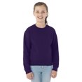 thumbnail image 1 of Jerzees Chandail en Molleton Col Rond pour Jeunes, m, Violet Profond, 1 of 8