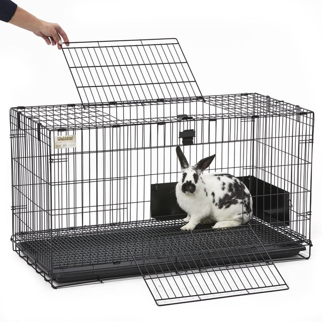 MidWest 37" Folding Rabbit and Small Animal Cage with black wire mesh and removable plastic base, featuring top and front doors open for easy access, containing a white rabbit with black spots, ideal for small animal habitats and easy cleaning.