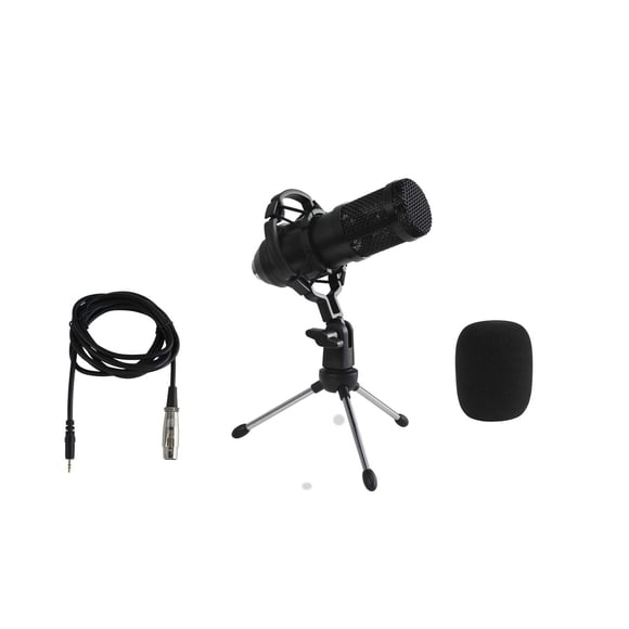 Trousse de microphone pour Podcast