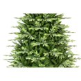 thumbnail image 2 of Puleo 7.5ft Pre-lit Carrington Fir Tree, 2 of 7