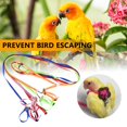 thumbnail image 4 of Pet Bird Harness Adjustable Leash Flying Training Rope for Parrot Cockatoo Macaw Cockatiels, 4 of 7