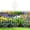 White, variant on Cameland Garden Fence Stackable Climbing Plant Support Plastic Garden Fence Picket Fence Edgings For Lawns Flowerbeds Plant Borders Decorative Yard