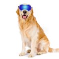 thumbnail image 1 of Unique Design Pet Sunglasses, UV Protection Wind Protection Dust Protection Fog Protection Pet Glasses Eye Wear Protection for Large Dogs, Adjustable Strap, Soft and Comfortable, 1 of 7