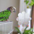 thumbnail image 2 of Miangastore Parrot Cage Mirror Bird Mirror with Bell Parrot Cage Toy Bird Self Enjoy Toy, 2 of 9