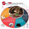 thumbnail image 4 of Jouet pour Chat avec Herbe à Chat, Plus Souris, Lot de 12 - 2048, 4 of 4