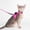 Pink_Hot#24658, variant on Escape Proof Reflective Cat Harness and Leash Set with GPS Tracker Pouch for Small Cats