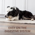 thumbnail image 2 of Milk-Bone Wonder Bones Medium Dog Long Lasting Treats 176g, 2 of 6