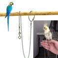 thumbnail image 1 of Bird Foot Stand Chain Stainless Steel Parrot Foot Chain Bird Supplies, 1 of 8
