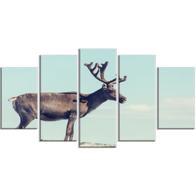 Design Art Large Reindeer in Norway Canvas Print featuring a five-panel gallery wrapped canvas with a side profile of a brown reindeer with velvet antlers against a pale blue sky, printed on premium cotton canvas and ready to hang as wall art for home décor.