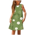 thumbnail image 1 of PMVFHDE Tenue d'Été pour Filles Mode Filles Mignonne Printemps et Été Imprimée Col Rond Sans Manches Robe Décontractée (3),Vert,8-9, 1 of 5