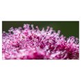 thumbnail image 2 of Pink Little Flowers Close up View - Large Floral Wall Art Canvas, 2 of 3