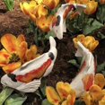 thumbnail image 3 of Ensemble de Carpes en Céramique Koi Carpe de Jardin Résine Décorative Cour, 3 of 4
