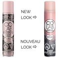 thumbnail image 3 of Colab Dry Shampoo Extreme Volume, 3 of 6