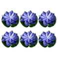 thumbnail image 3 of Floating LED Pool Light Night Light for Swimming Pool Garden Pond Decoration 6 Pack, 3 of 7
