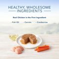 thumbnail image 4 of BLUE Healthy Gourmet Repas de poulet pâté pour chatons, 4 of 5