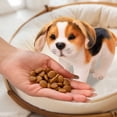 thumbnail image 4 of QIPOPIQ Puppy Plush Toy, Dog Stuffed Toy, 4 of 6