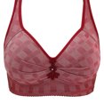 thumbnail image 1 of Birdeem Womens Non Steel Ring Style Printed Gathered Middle Button Breathable Underwear Daily Bra, 1 of 5