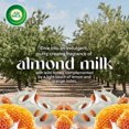 thumbnail image 3 of AIR WICK® SCENTED OIL - Refill - 0+2 Vibrant™ Almond Milk & Honey 6/(2x20) mL, 3 of 7