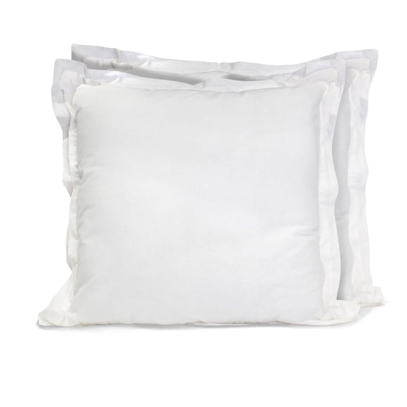 Hometrends 2 PK Euro Pillow