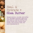 thumbnail image 3 of Maui Moisture Ravive et Hydrate + Beurre de Karité Shampooing, 3 of 5