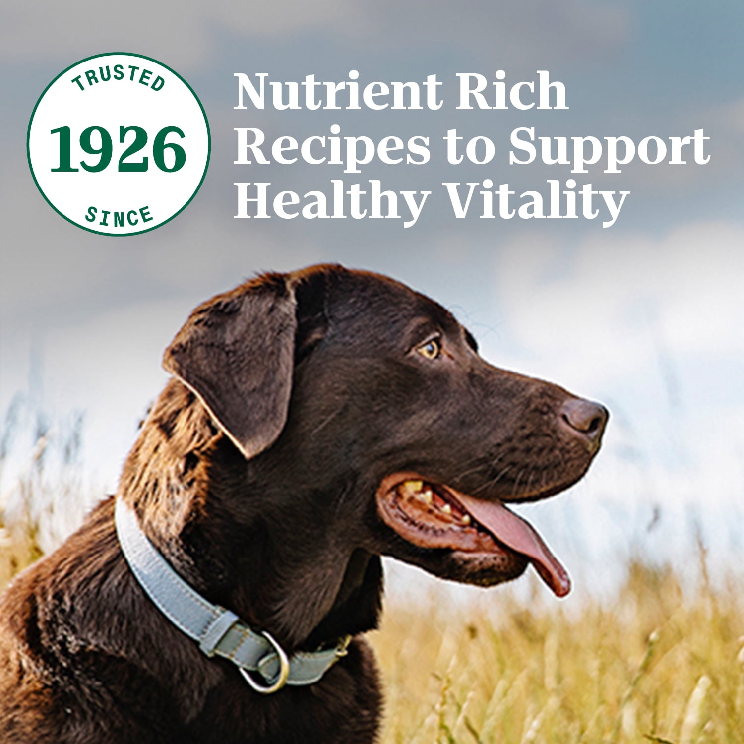 Nutro Natural Choice Nourriture Sèche pour Chien Adulte Recette à l'Agneau & au Riz Brun 2.27kg