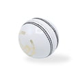 thumbnail image 4 of LinkZ Cricket Essential Kit, 4 of 12