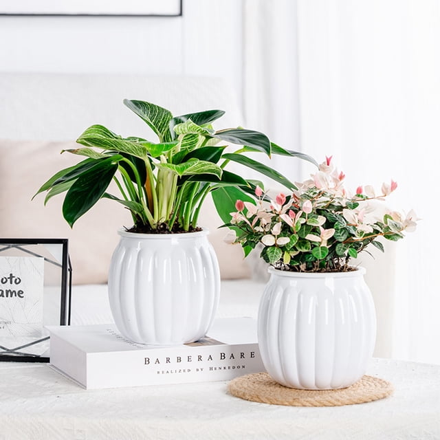 JZCHUNTOY 1PCS Jardinière Citrouille Blanche avec Système d'Arrosage Automatique, Conception de Contrôle des Racines, Grand Pot de Plante d'Intérieur pour la Déco de la Maison, Fournitures de Jardinage Modernes