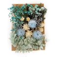 thumbnail image 1 of Natural Real Dried Flowers Kit for Art Craft DIY Soap Candle Scrapbooking DIY Resin Jewelry Making, Bookmark Making Mixed Multiple Colorful Dried Pressed Flowers for Home Decoration, 1 of 7