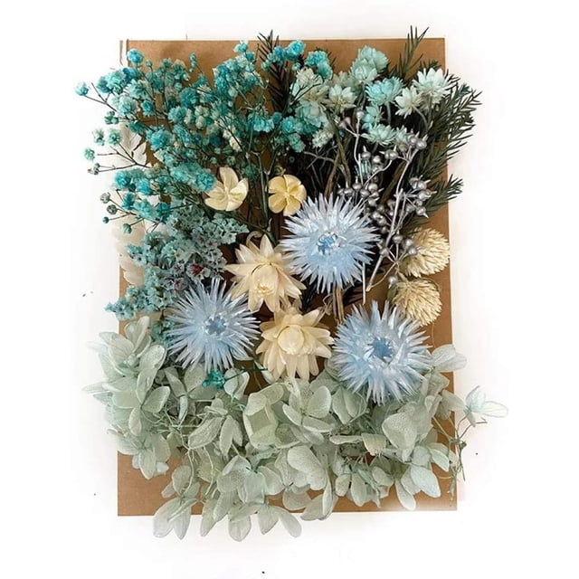 Natural Real Dried Flowers Kit for Art Craft DIY Soap Candle Scrapbooking DIY Resin Jewelry Making, Bookmark Making Mixed Multiple Colorful Dried Pressed Flowers for Home Decoration