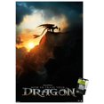thumbnail image 1 of Dragons (2025) - Fiche d'information, 1 of 3