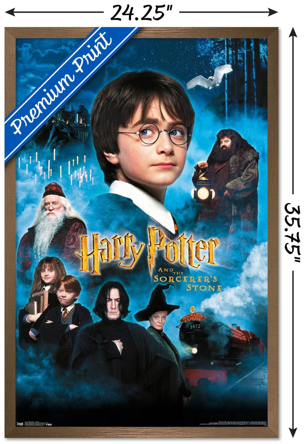 Harry Potter à l'école des sorciers