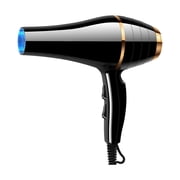 Cameland Appliance Electric Hair Dryer High-Power Electric Hair Dryer Home Hair Dryer Hot Wind Comb Hair Salon Blowing Comb