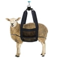 thumbnail image 2 of stanreset Black Durable And Sturdy Livestock Weighing Equipment For Easy Handling Making More Convenient 58x35.5cm, 2 of 6