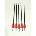 thumbnail image 3 of 20 X PRACTICE carbon bolts for MINI- STRIKER crossbow, 3 of 4