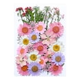 thumbnail image 1 of Pcksrro Articles de Décoration pour la Maison et Ornements Suspendus en Promotion! Fleurs Séchées et Embossées pour Kit de Résine Bougies et Bricolages, 1 of 1
