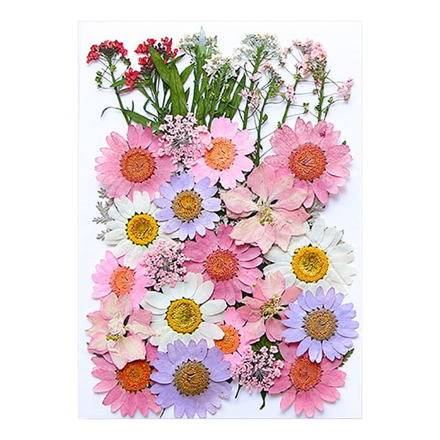 Pcksrro Articles de Décoration pour la Maison et Ornements Suspendus en Promotion! Fleurs Séchées et Embossées pour Kit de Résine Bougies et Bricolages