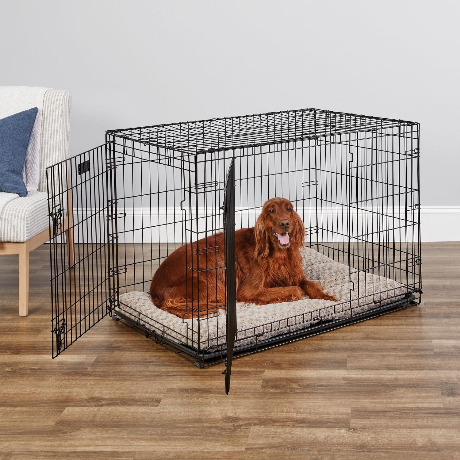 Midwest iCrate Caisse Pliante pour Chien à Double Porte avec Panneau de Séparation