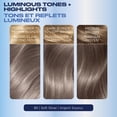thumbnail image 4 of Coloration permanente Clairol Nice'n Easy, 4 of 9