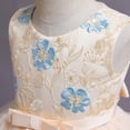thumbnail image 4 of Vêtements pour Tout-Petites Fille Tout-Petite Enfant Fille Dentelle Sans Manches Robe de Princesse Robe de Fête Robe en Tulle Cosplay Vêtements, 4 of 9