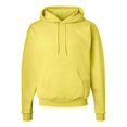 thumbnail image 1 of Hanes Ecosmart Chandail à Capuchon pour Hommes, 1 of 1