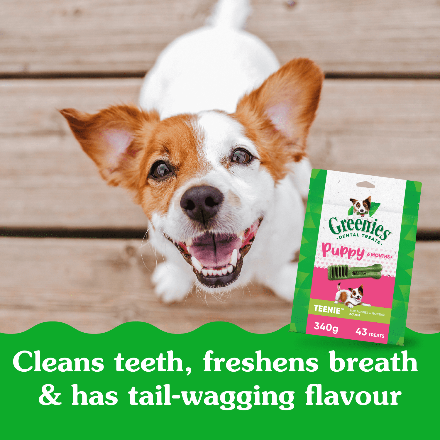 Gâteries pour chiens adultes GREENIES SMARTBITES saveur de poulet