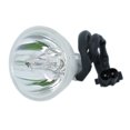 thumbnail image 1 of Lutema Économie pour Lampe Projecteur Sharp XV-Z3100 (Ampoule Seulement), 1 of 5
