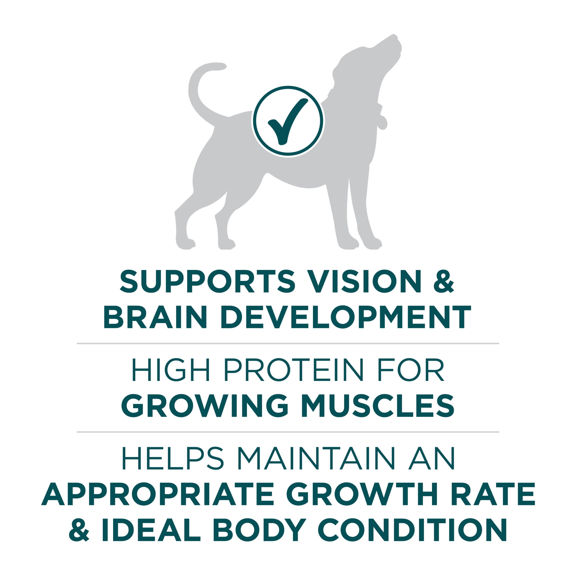 Purina ONE SmartBlend Formule pour Chiot de Grande Race au Poulet, Nourriture Sèche pour Chiens 14 kg