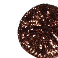 thumbnail image 2 of Stretch Metallic Shining Sequins Berets Women Autumn Spring dance hat Summer Hats Mix Color Party Show Advertising Caps, 2 of 7