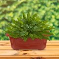 thumbnail image 4 of AURARMLET 10Pcs Large Clay Pots Red Rectangular Planter Pot for Garden Planting, 4 of 6